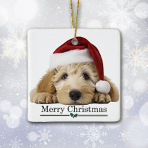 Santa Hat Goldendoodle Dog Merry Christmas