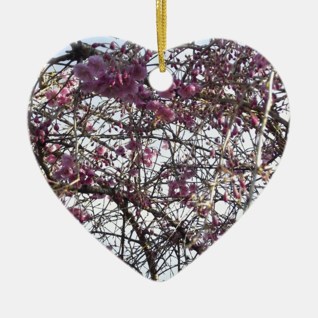 Ornement En Céramique Saule japonais (Devant)