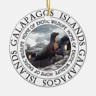ORNEMENT EN CÉRAMIQUE SCEAUX DE GALAPAGOS RONDS