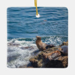 Ornement En Céramique Seal Rock at La Jolla Beach à San Diego<br><div class="desc">Seals and sea lions resting at Seal Rock in the Pacific Ocean at La Jolla,  San Diego California on a beautiful,  sunny summer day</div>