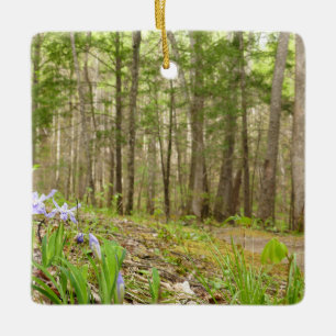 Ornement En Céramique Sentier de montagne fumé au printemps