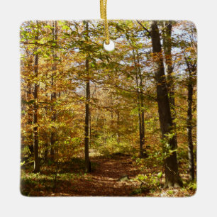 Ornement En Céramique Sentier de Wolf Rocks en automne paysage de Pennsy