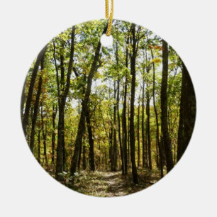 Ornement En Céramique Sentier des Appalaches en octobre à Shenandoah