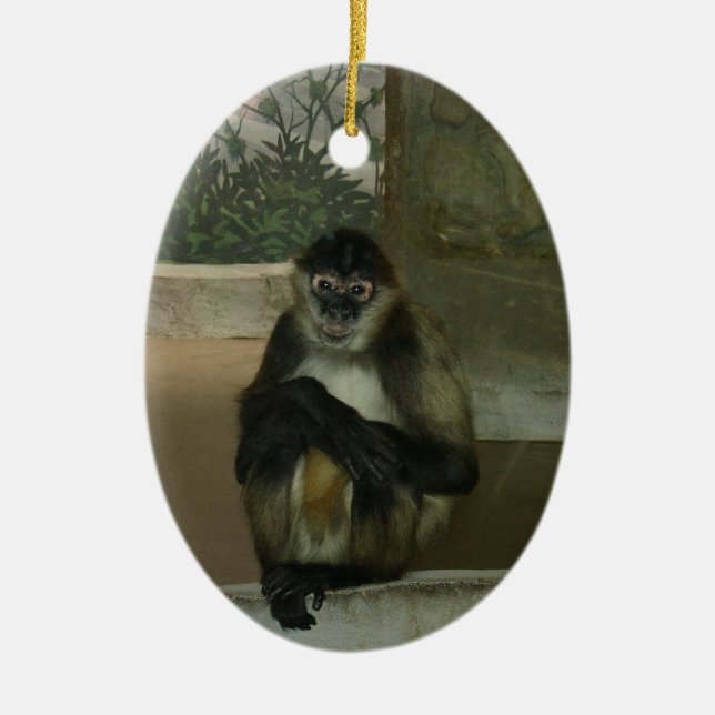 Ornement En Céramique Singe assis joliment (Devant)