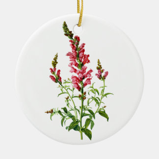 Ornement En Céramique Snapdragon Rose Tiré De La Nature