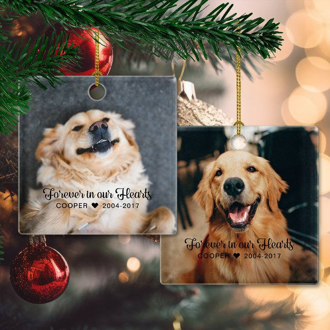 Ornement En Céramique Souvenir de compagnie Sympathie 2 Photos (Pet Memorial Sympathy 2 Photo Ceramic Ornament)