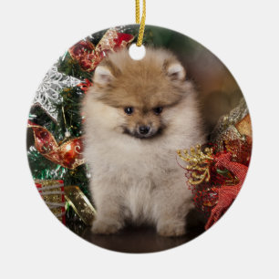 Ornement En Céramique Spitz de Pomeranian, chiot de Noël
