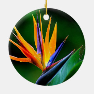 Ornement En Céramique Strelitzia. Oiseau de fleur de paradis