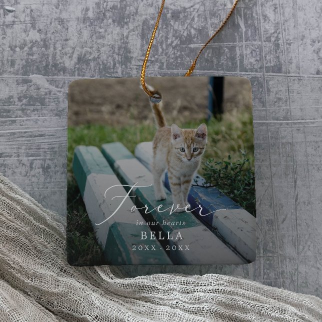 Ornement En Céramique Superposition délicate Photo Animaux de compagnie  (Créateur téléchargé)