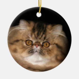 Ornement En Céramique tabby Brown persan