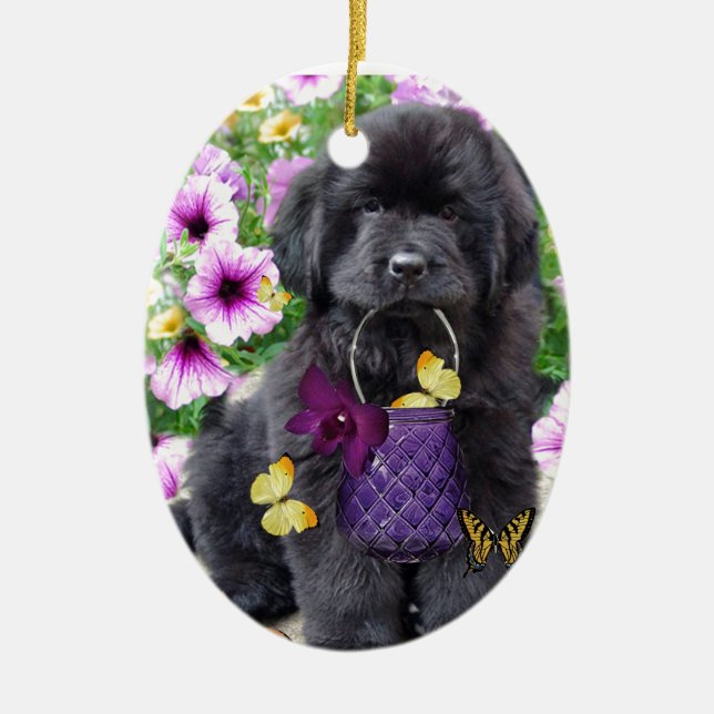 Ornement En Céramique Terre-Neuve par jour ensoleillé (Devant)