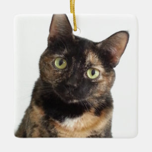 Ornement En Céramique Tortoiseshell Cat