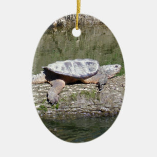 Ornement En Céramique Tortue