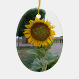 Ornement En Céramique Tournesol