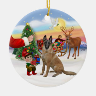 Ornement En Céramique Traite - Malinois belge