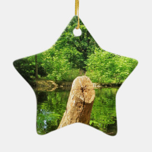 Ornement En Céramique Tree Trunk Nature Photographie Parc du lac