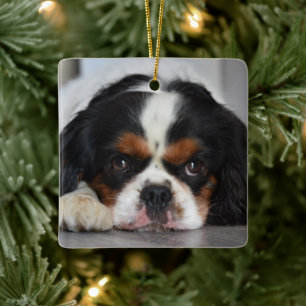 Ornement En Céramique Tri Color Cavalier King Charles Dog