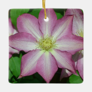 Ornement En Céramique Trio de Clematis Pink and White Spring Vine