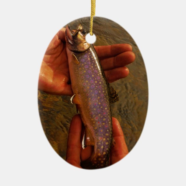 Ornement En Céramique Trout à Hands (Devant)