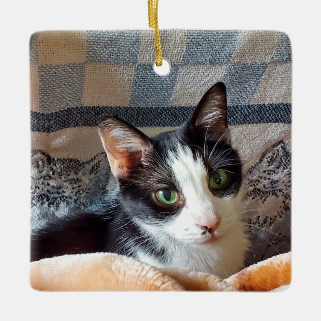 Ornement En Céramique Tuxedo (Devant)