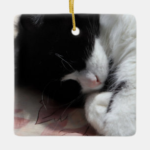 Ornement En Céramique Tuxedo Chat Art Cute Rose Nez Kitty Chats Art