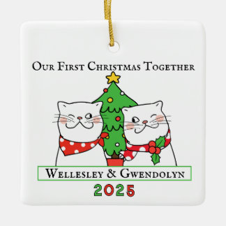 Ornement En Céramique Two Cats First Christmas Together