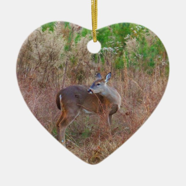 Ornement En Céramique Un cerf dans l'herbe haute (Devant)