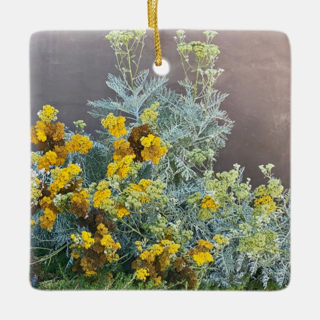 Ornement En Céramique Une Californie florissante : Catalina Silverlace (Devant)