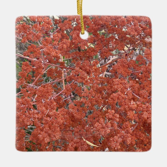 Ornement En Céramique Une Californie florissante : la dentelle de Sainte (Devant)