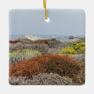 Ornement En Céramique Une Californie florissante : Plage d'état d'Asilom