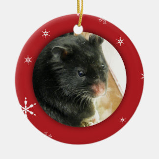 Ornement En Céramique Vacances personnalisées de photo de hamster/animal