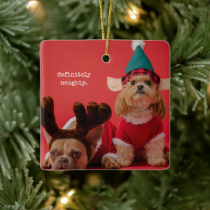 Ornement En Céramique Vraiment Naughty Pet Photo Mignonne Noël