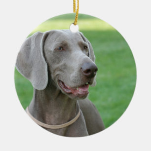 Ornement En Céramique Weimaraner