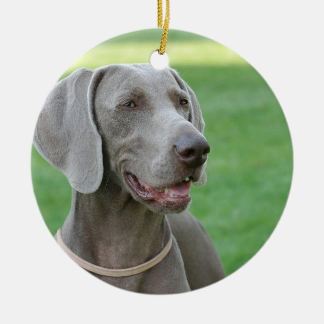 Ornement En Céramique Weimaraner (Devant)