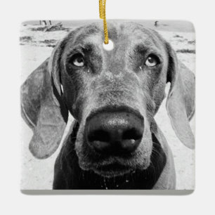 ORNEMENT EN CÉRAMIQUE ***WEIMARANER*** CHRISMAS ORNAMENT