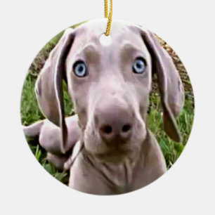 ORNEMENT EN CÉRAMIQUE WEIMARANER PUPPY CHRISTMAS ORNAMENT