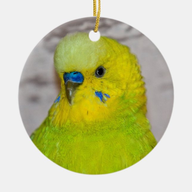 Ornement En Céramique Yellow Budgie Ornament (Devant)
