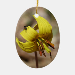 Ornement En Céramique Yellow Trout Lily Floral Ornament