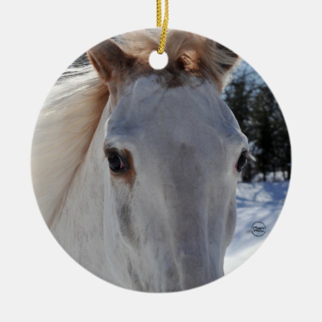 Ornement En Céramique Yeux rouans rouges de cheval (Devant)