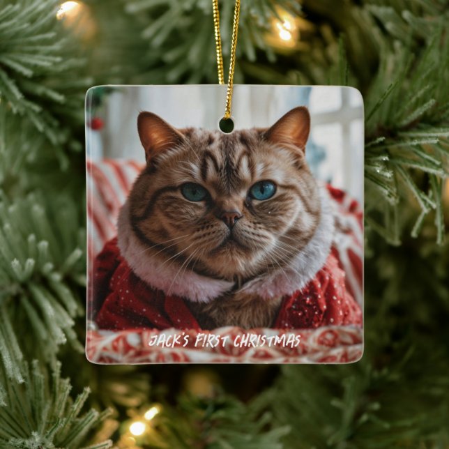 Ornement En Céramique Your Pet Photo Funny Christmas (Arbre)