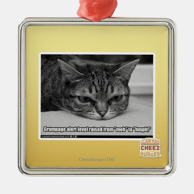 Ornement En Métal Alerte de Grumpage (Devant)