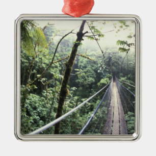 Ornement En Métal Amérique centrale, Costa Rica, Monteverde Cloud