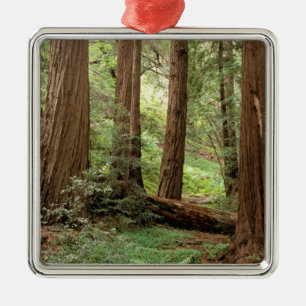 Ornement En Métal Amérique du Nord, États-Unis, Californie, Big Sur,