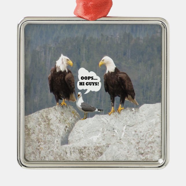 Ornement En Métal Amusants aigles et mouettes (Devant)