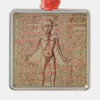Anatomie du corps humain