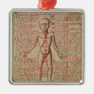 Ornement En Métal Anatomie du corps humain