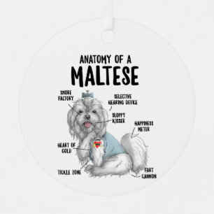 Ornement En Métal Anatomie d'un chien maltais propriétaire chiot drô