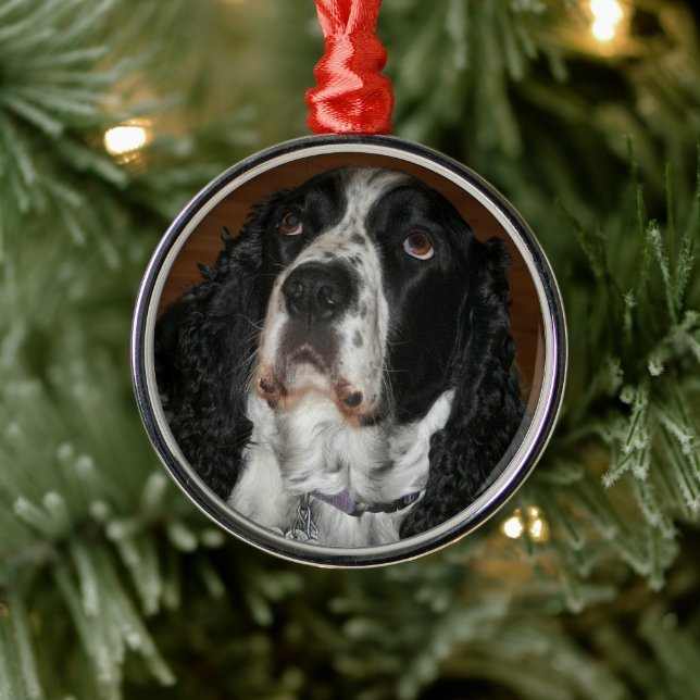Ornement En Métal Anglais Springer Spaniel Personnalisé Animaux de c (Arbre)