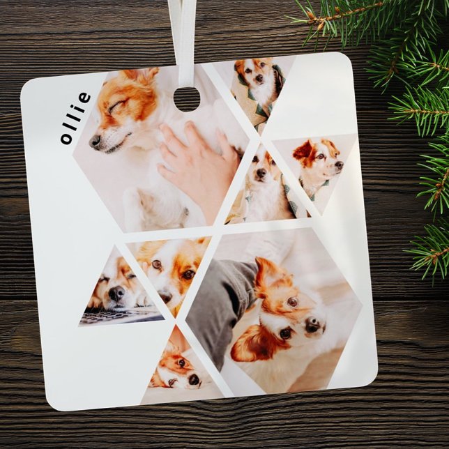 Ornement En Métal Animaux de compagnie Formes modernes Géométrique 8 (Créateur téléchargé)