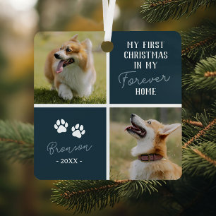 Ornement En Métal Animaux Premiers Noël Forever Accueil Photo Bleue